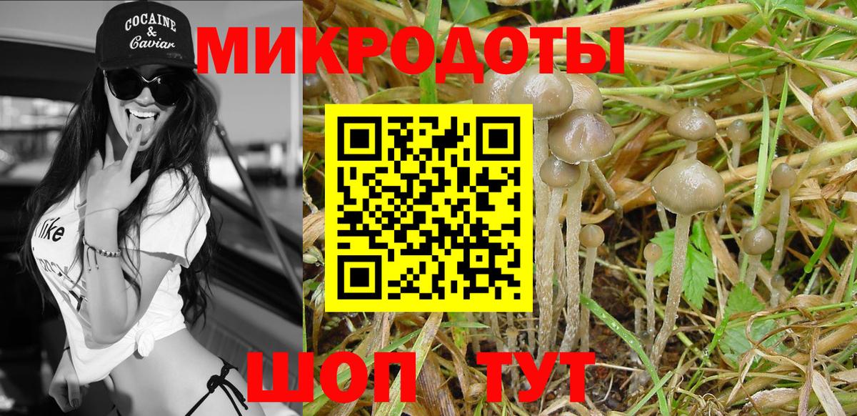 Псилоцибиновые грибы MAGIC MUSHROOMS Химки