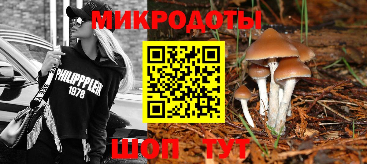 Псилоцибиновые грибы MAGIC MUSHROOMS  Вход с VPN  Химки 